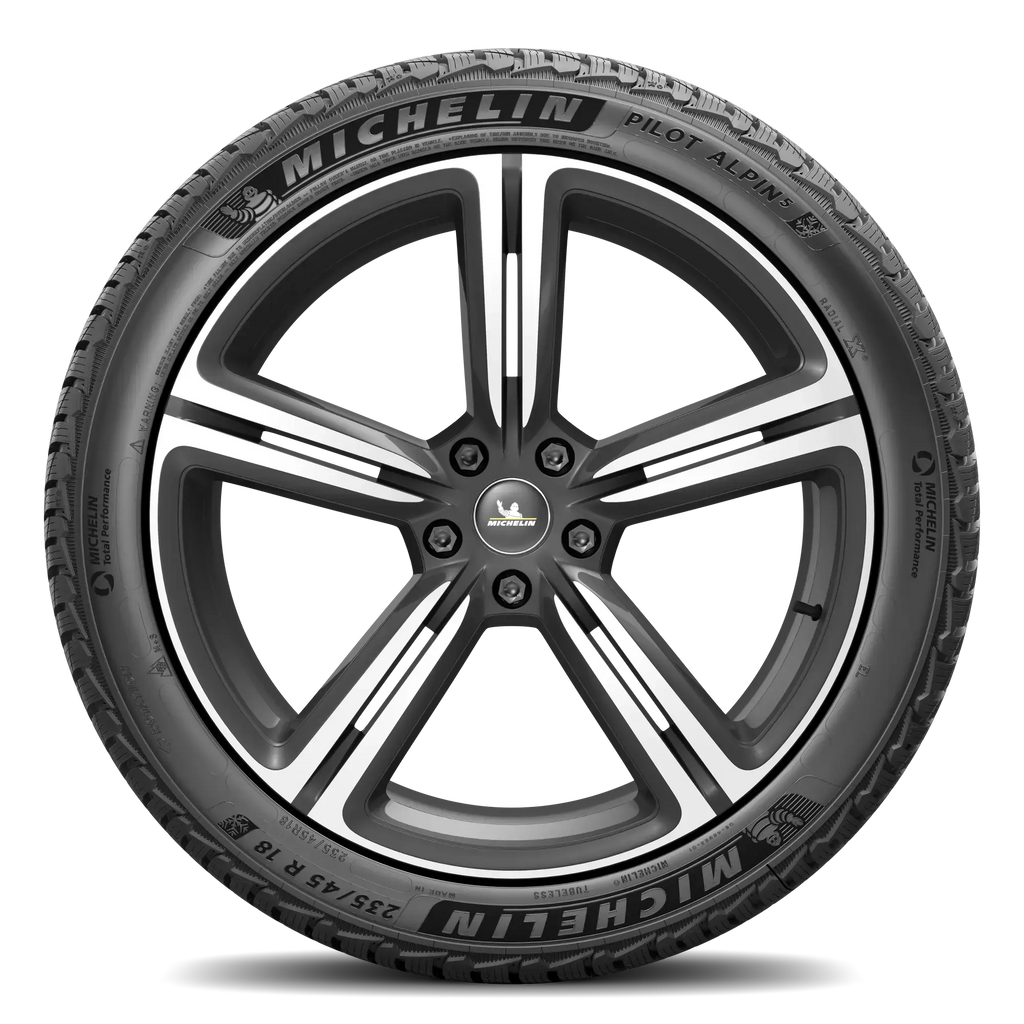 MICHELIN PIL ALPIN 5 245/55 R17 102V