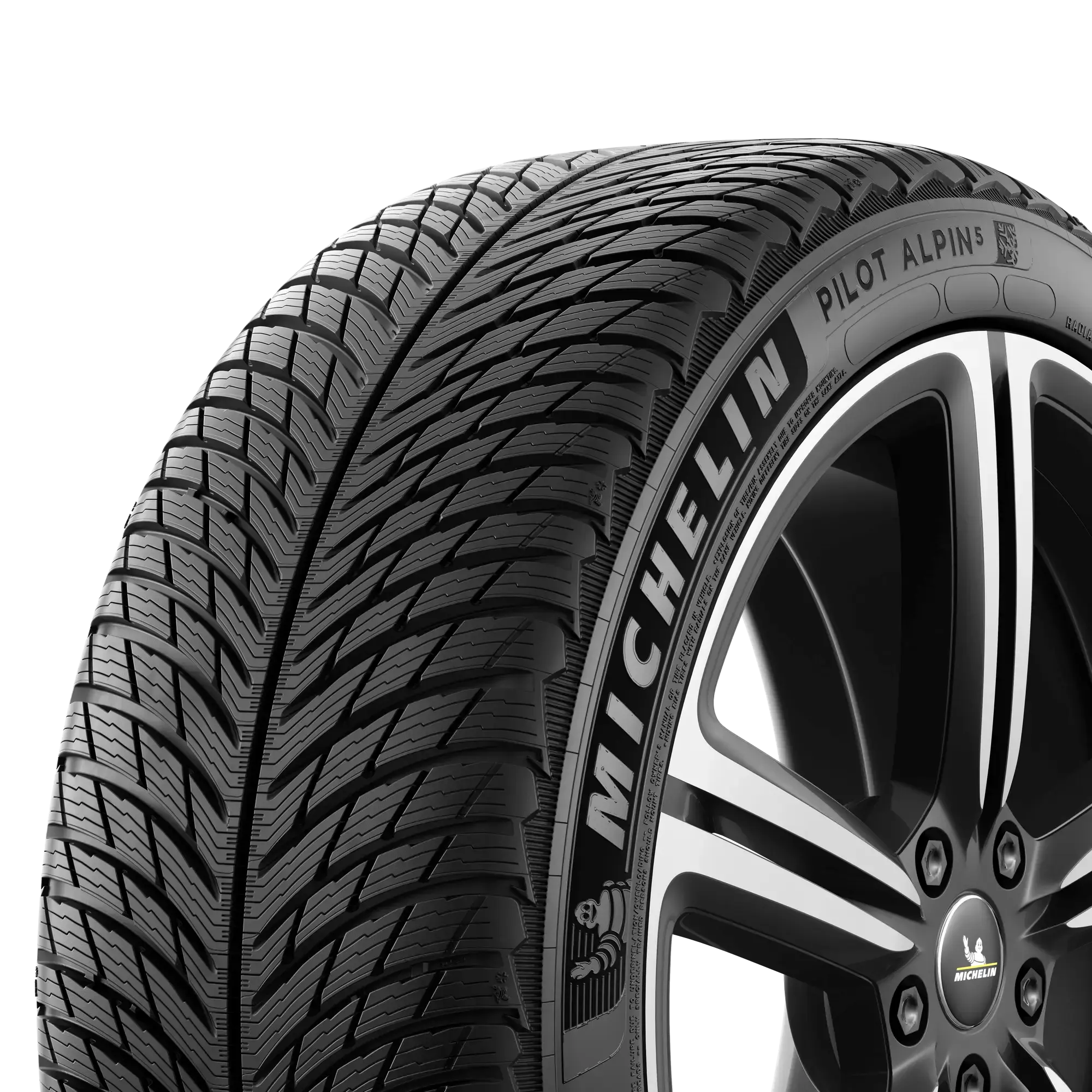 MICHELIN PIL ALPIN 5 XL 315/30 R21 105V