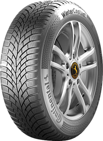 continental ts870 205 60 r15 91h