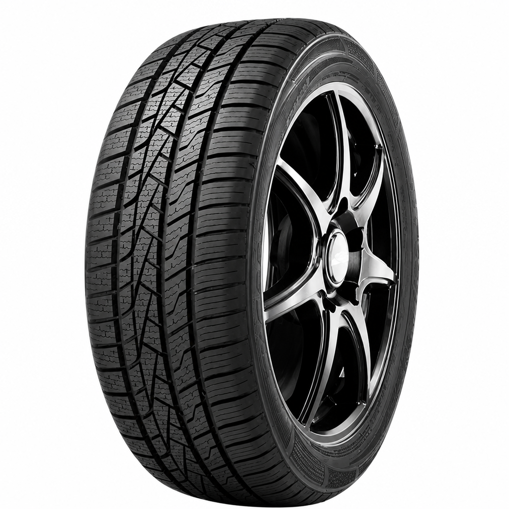 ROADHOG RGAS01 XL 205/55 R17 95V