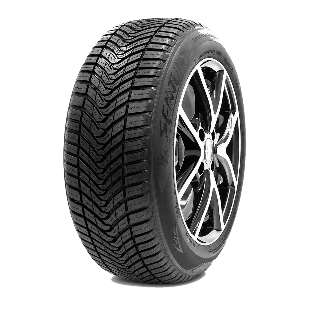 sentury seasonsdragon2 205 55 r16 91h